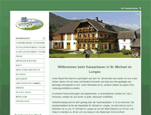 Tablet Screenshot of kasparbauer.at